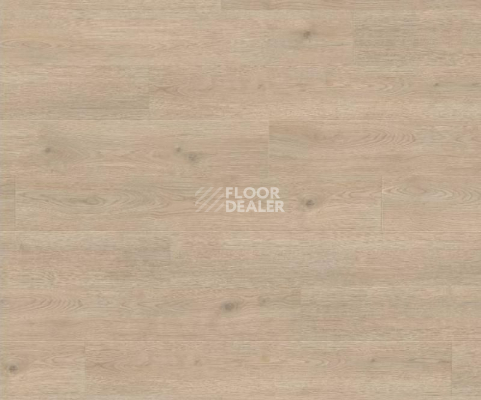 Ламинат Haro Tritty 100 4V ДУБ КОНТУРА КАМЕННО-СЕРЫЙ 538696 фото 1 | FLOORDEALER